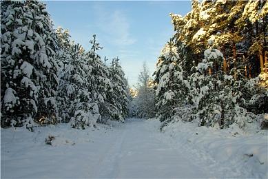 体验沉浸式铸剑《铸剑吟》Steam开启测试